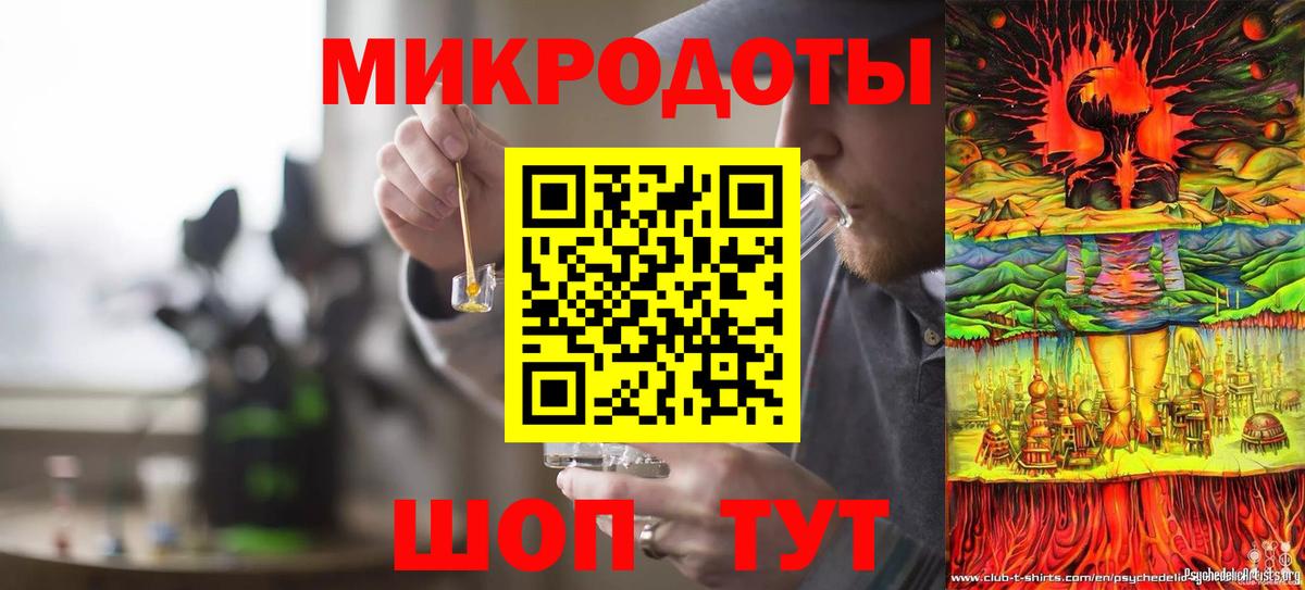 Галлюциногенные грибы Psilocybe Киселёвск