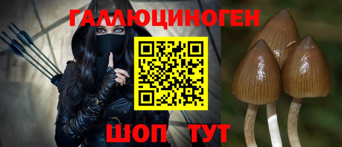 Киселёвск  Псилоцибиновые грибы GOLDEN TEACHER  Псилоцибиновые грибы мицелий  наркота  Вход с VPN 